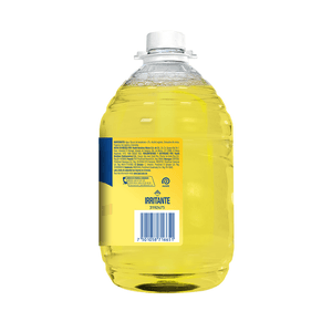 Lizol-MX-3094182_2.png
