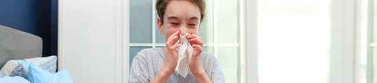 ¿Qué es la gripe aviar?